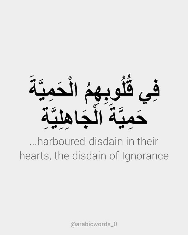 …harboured disdain in their hearts, the disdain of Ignorance