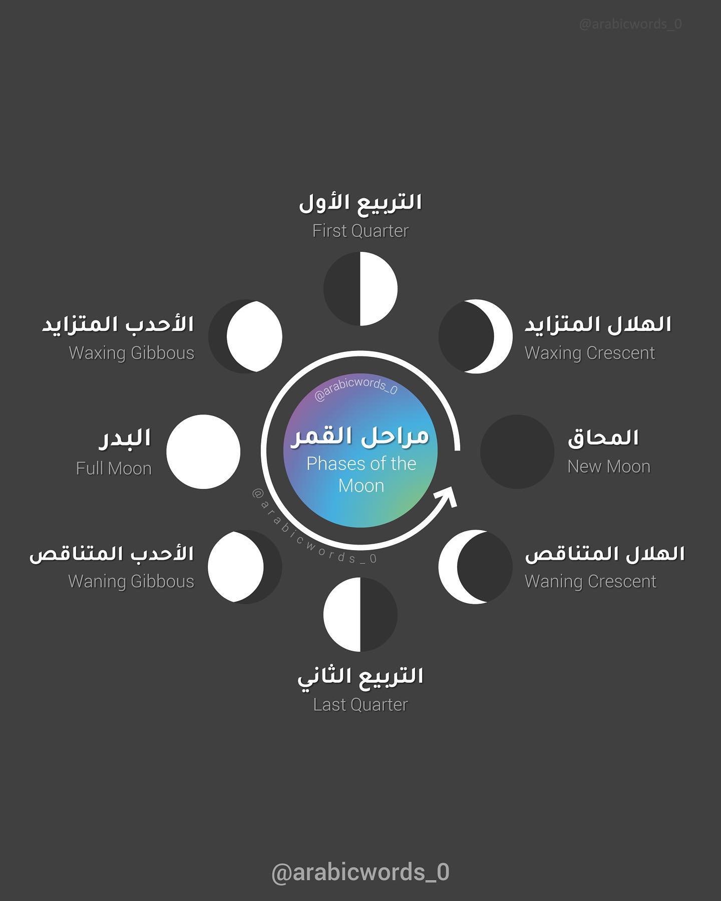 Phases of the Moon