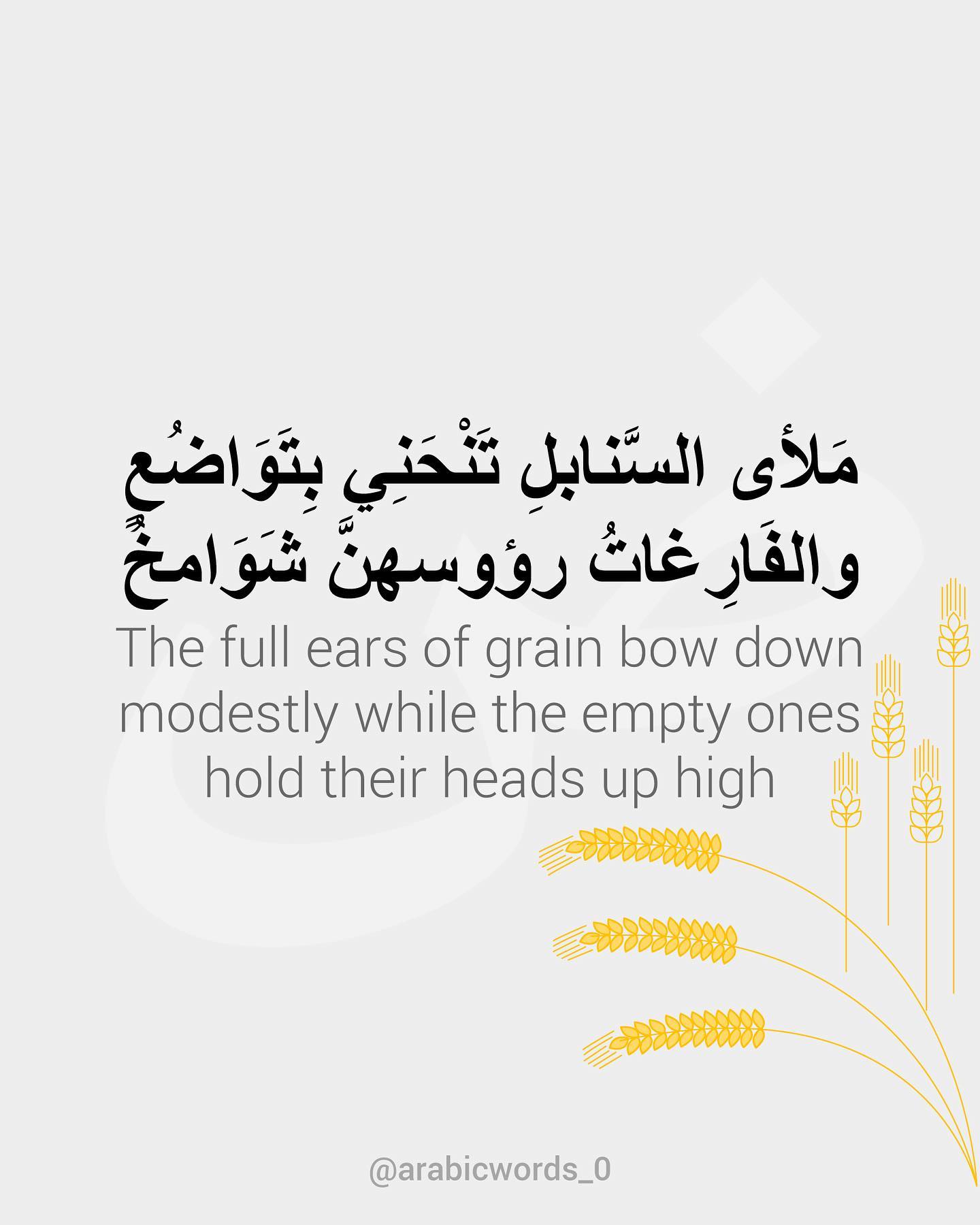 The full ears of grain bow down modestly while the empty ones hold their heads up high