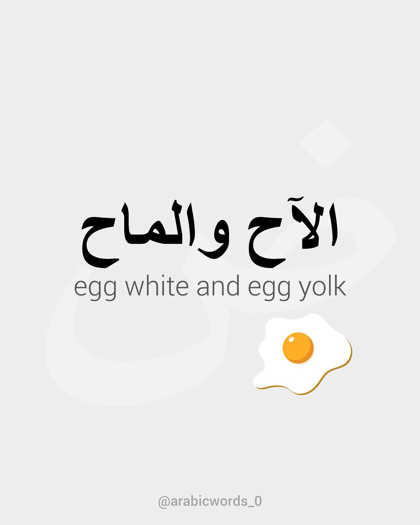 egg white and egg yolk