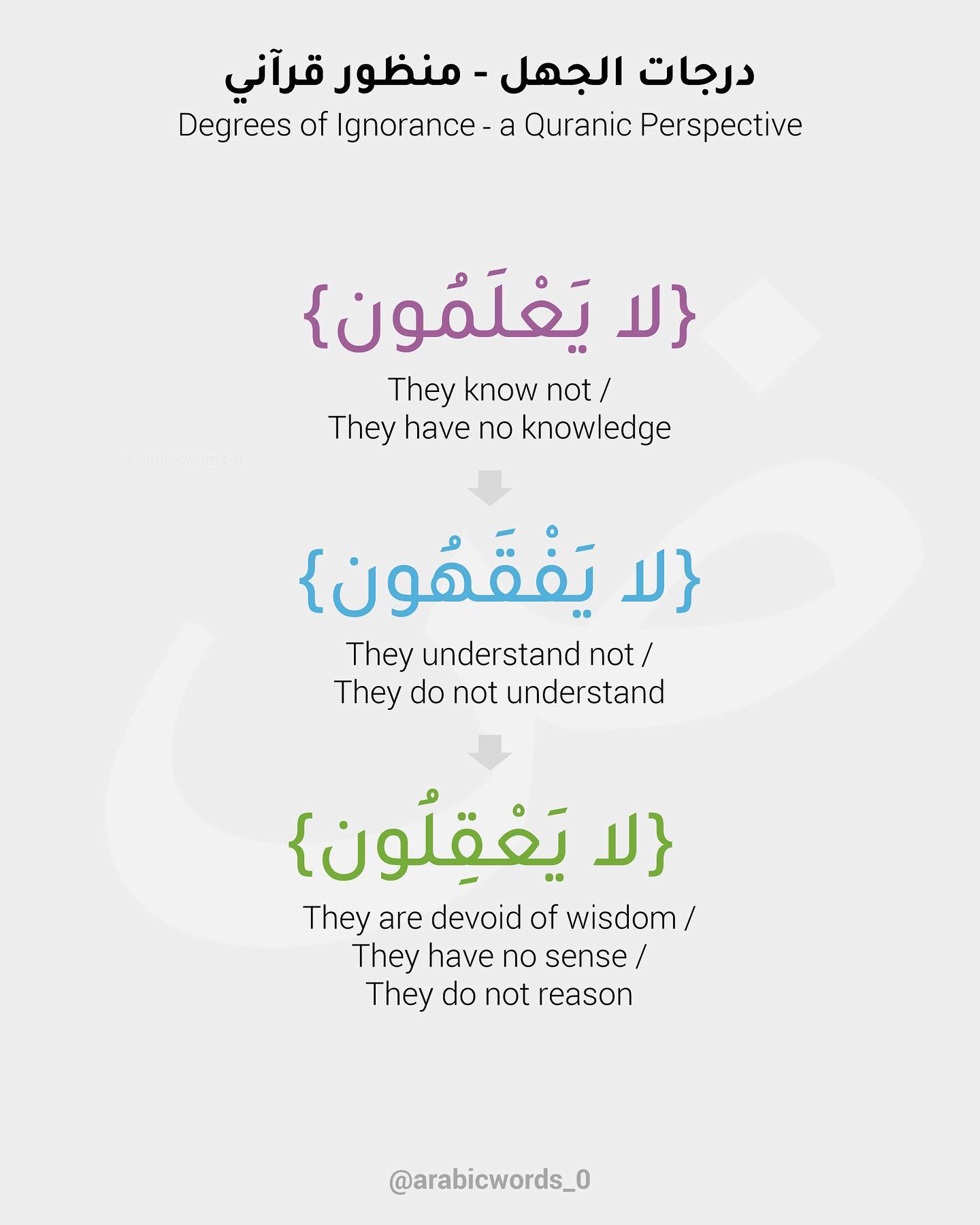 Degrees of Ignorance – a Quranic Perspective