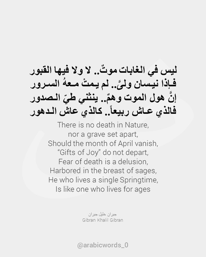 There is no death in Nature,  nor a grave set apart,