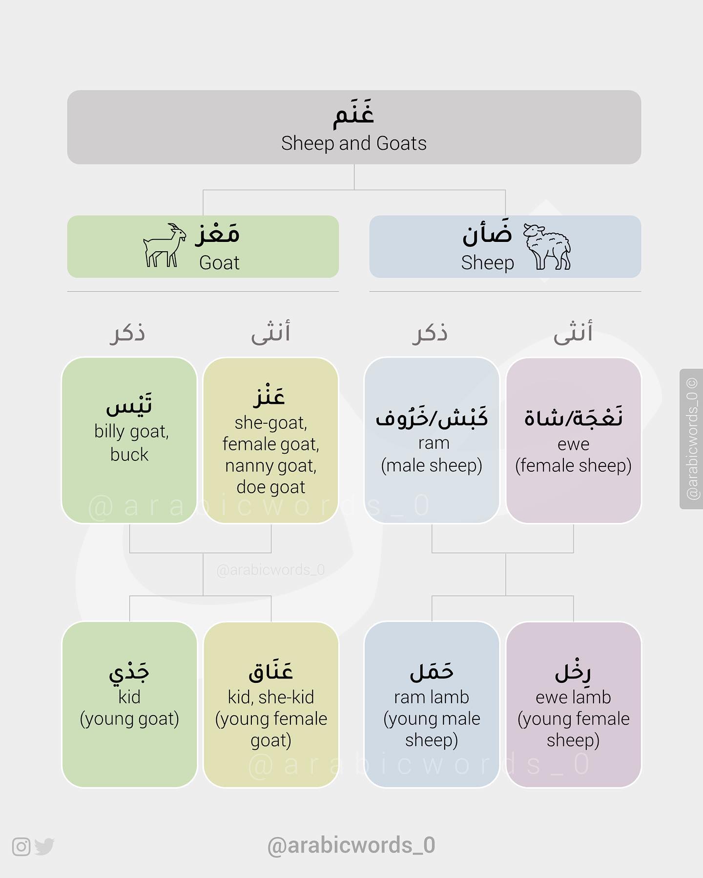 quadrupeds (four-legged animals)