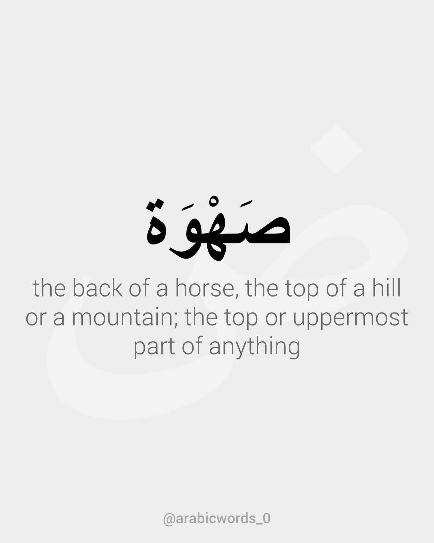 the back of a horse, the top of a hill or a mountain; the top or uppermost part of anything