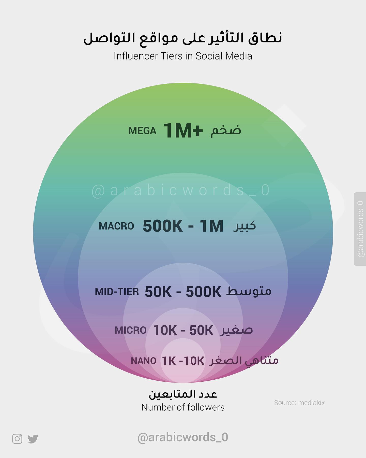 Influencer Tiers in Social Media