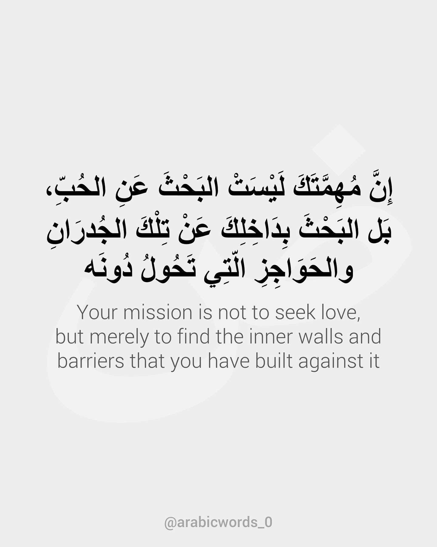 Your mission is not to seek love,  but merely to find the inner walls and barriers that you have built against it