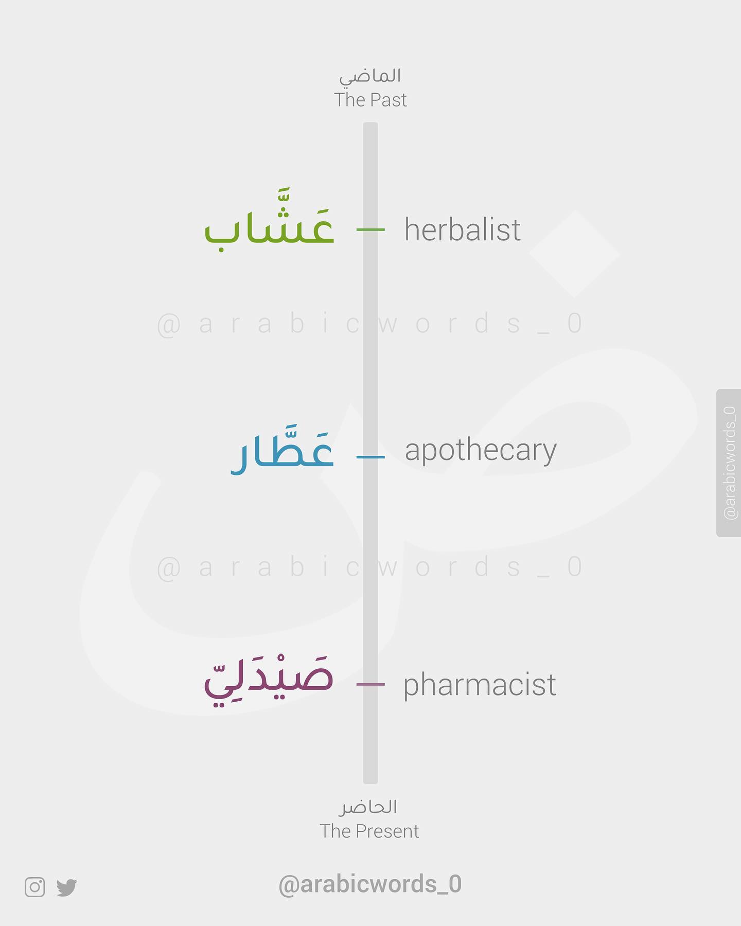 apothecary