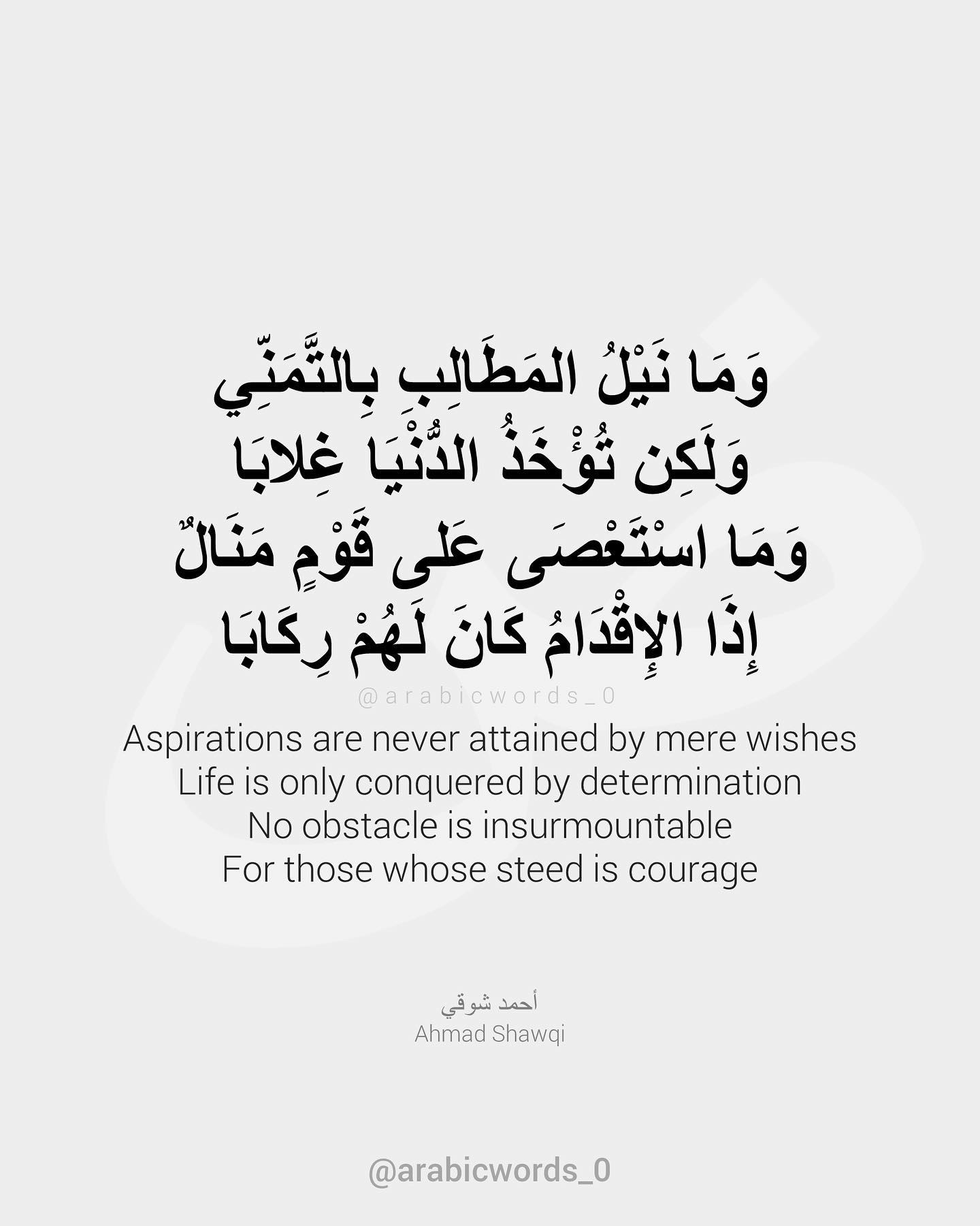 Aspirations are never attained by mere wishes
