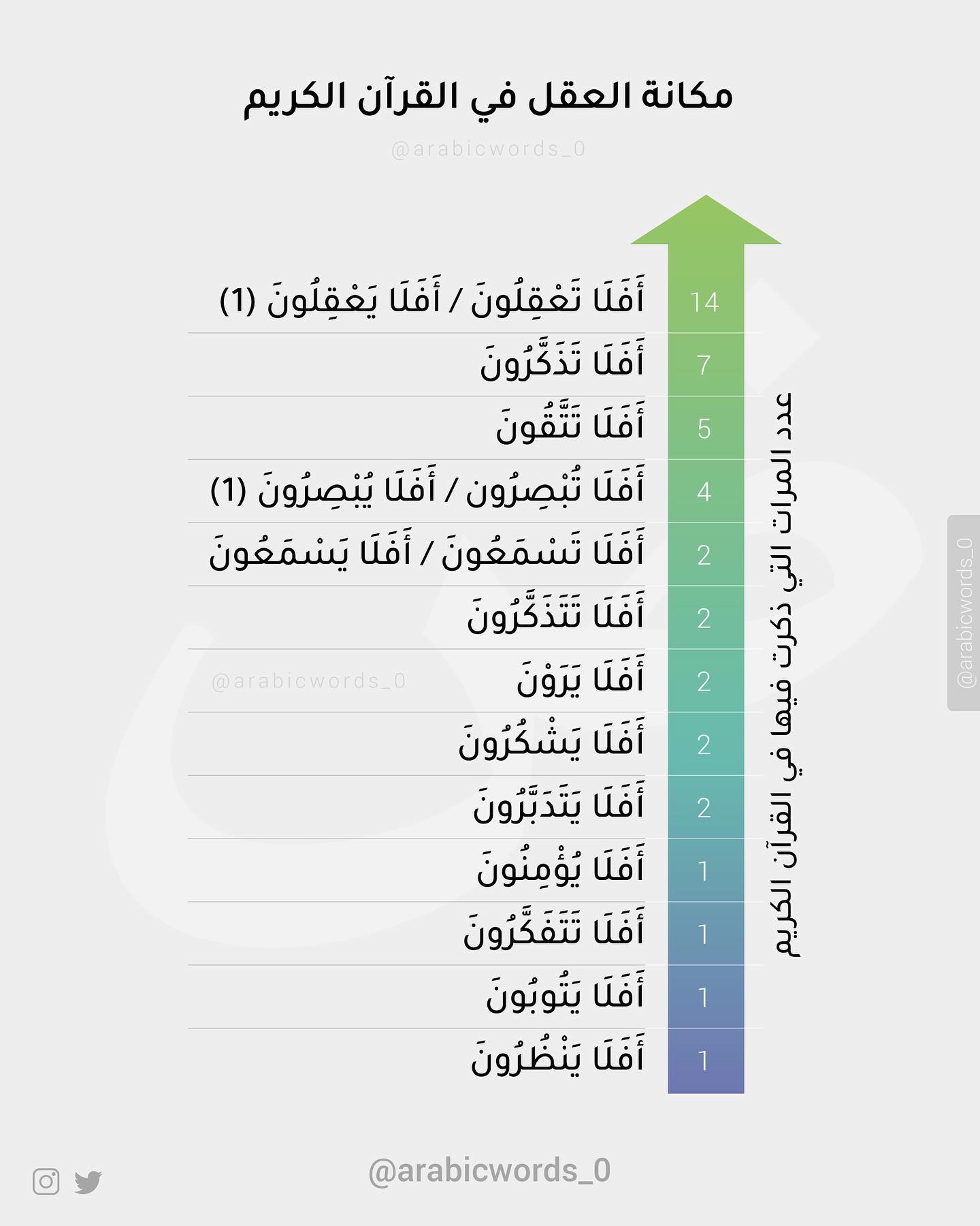 The Mind and Thinking in the Holy Quran