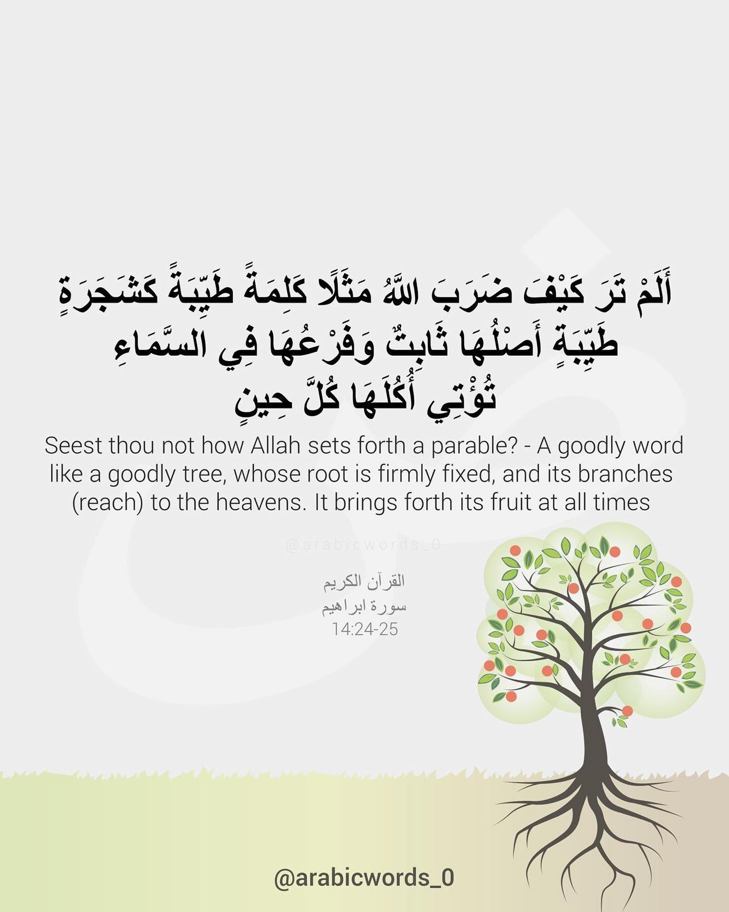 Seest thou not how Allah sets forth a parable? A goodly word like a goodly tree, whose root is firmly fixed, and its branches (reach) to the heavens. It brings forth its fruit at all times