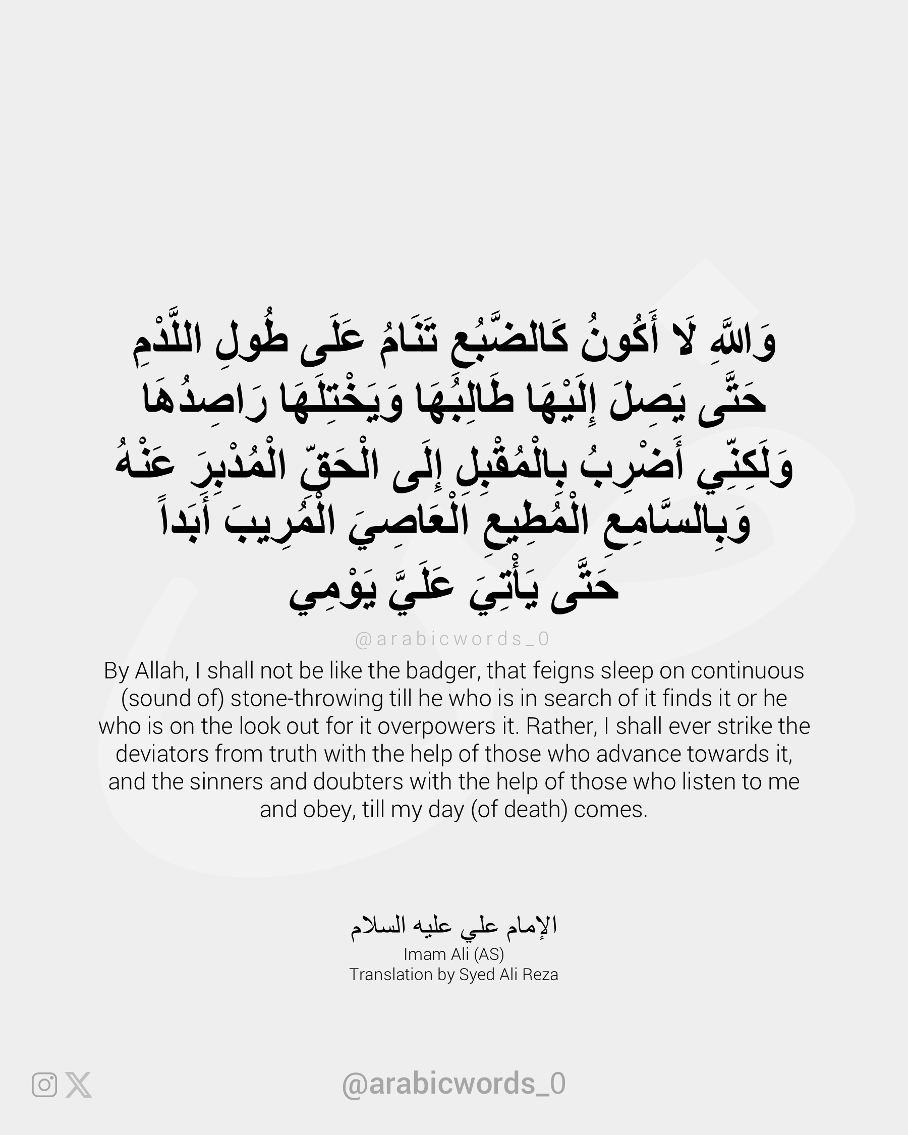 By Allah, I shall not be like the badger, that feigns sleep on continuous (sound of) stone-throwing till he who is in search of it finds it